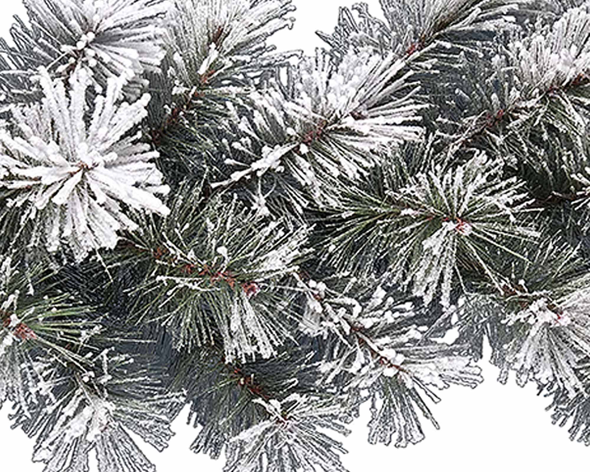 Festone ontario innevato - immagine 2