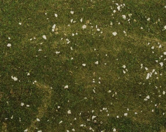 Foglio di Carta con Muschio per Presepi – Rossi Rosa