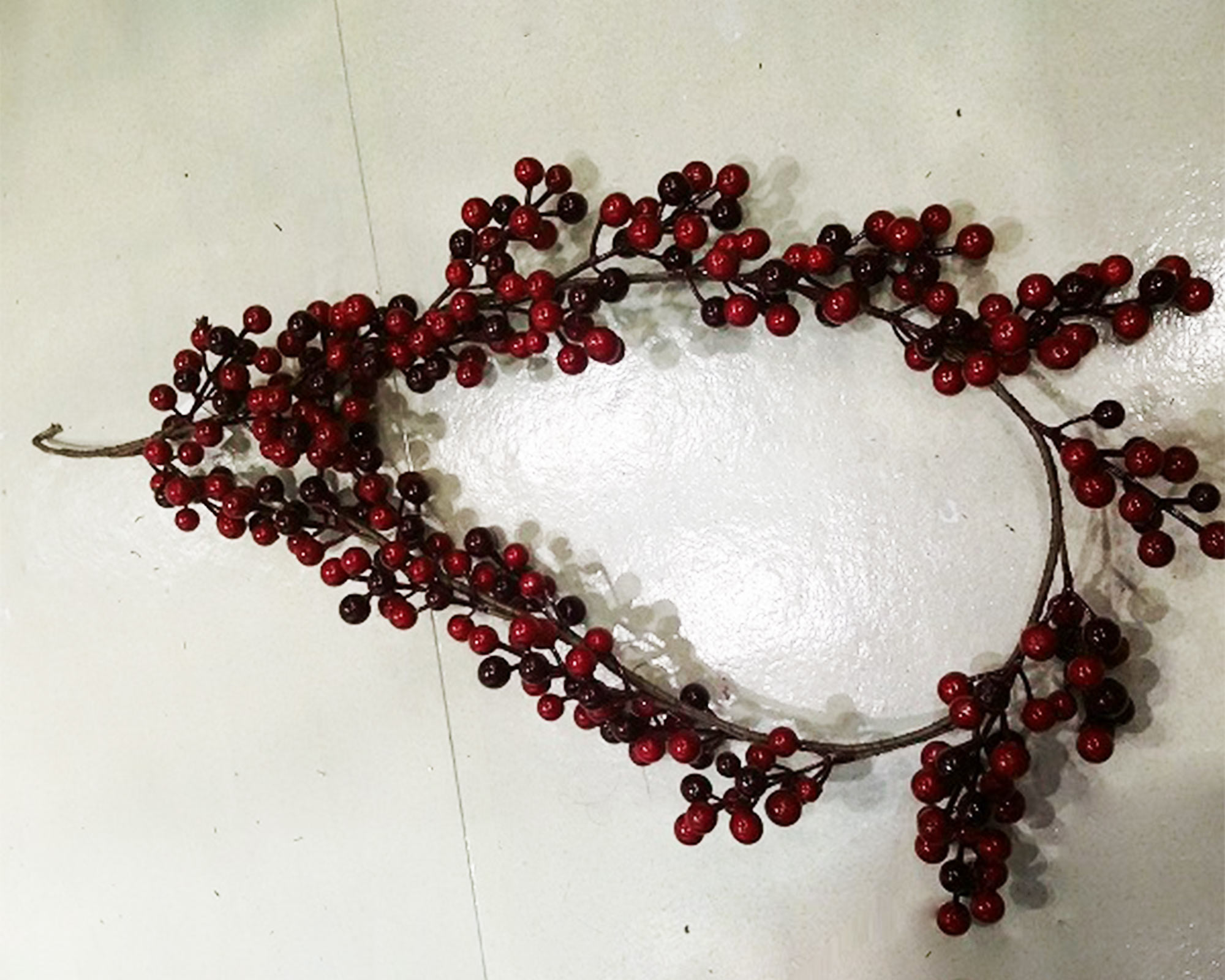 Ramo di ghirlanda con bacche