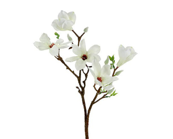12 Pz Fiori di magnolia bianchi artificiali