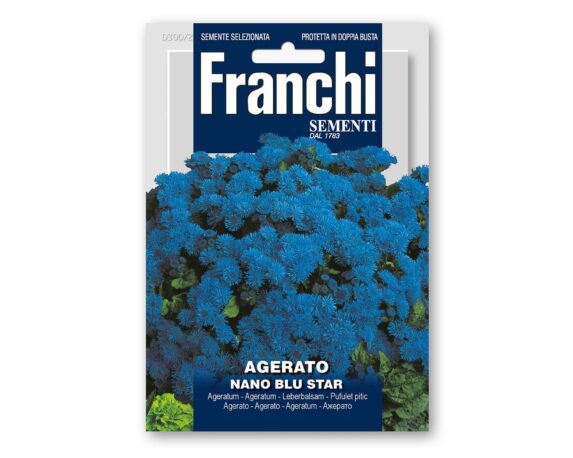 Semi di Agerato Nano Blu Star – Franchi sementi
