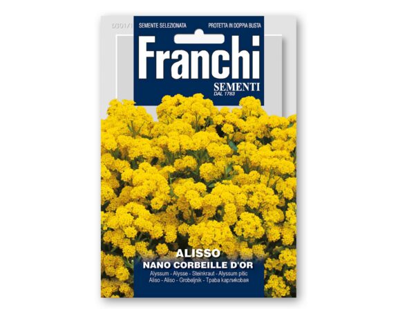 Semi di Alisso Nano Corbeille D’Or – Franchi sementi