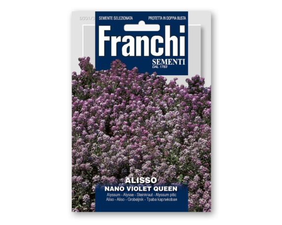 Semi di Alisso Nano Violet Queen – Franchi sementi
