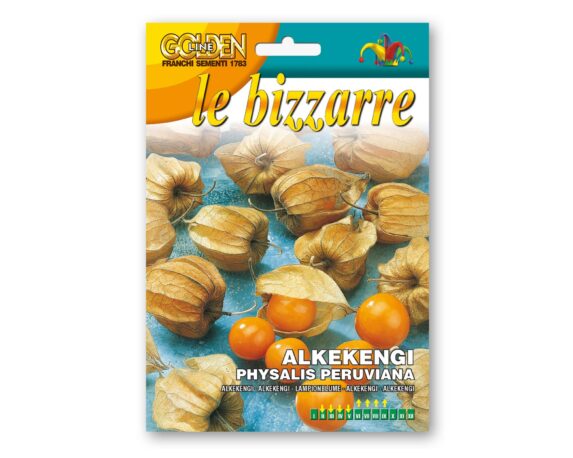 Semi di Alkekengi – Franchi sementi