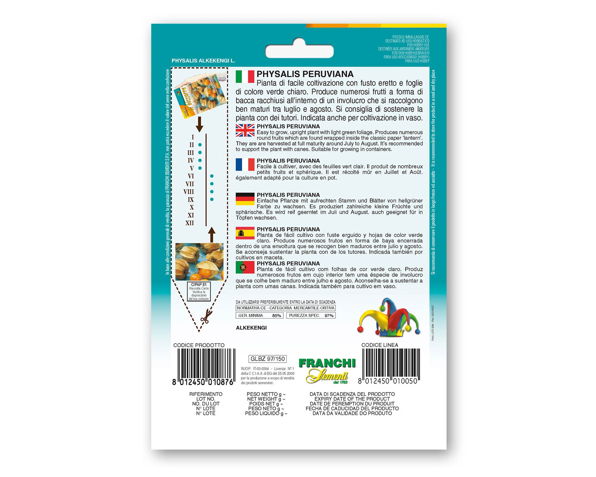 Semi di Alkekengi - Franchi sementi - immagine 2