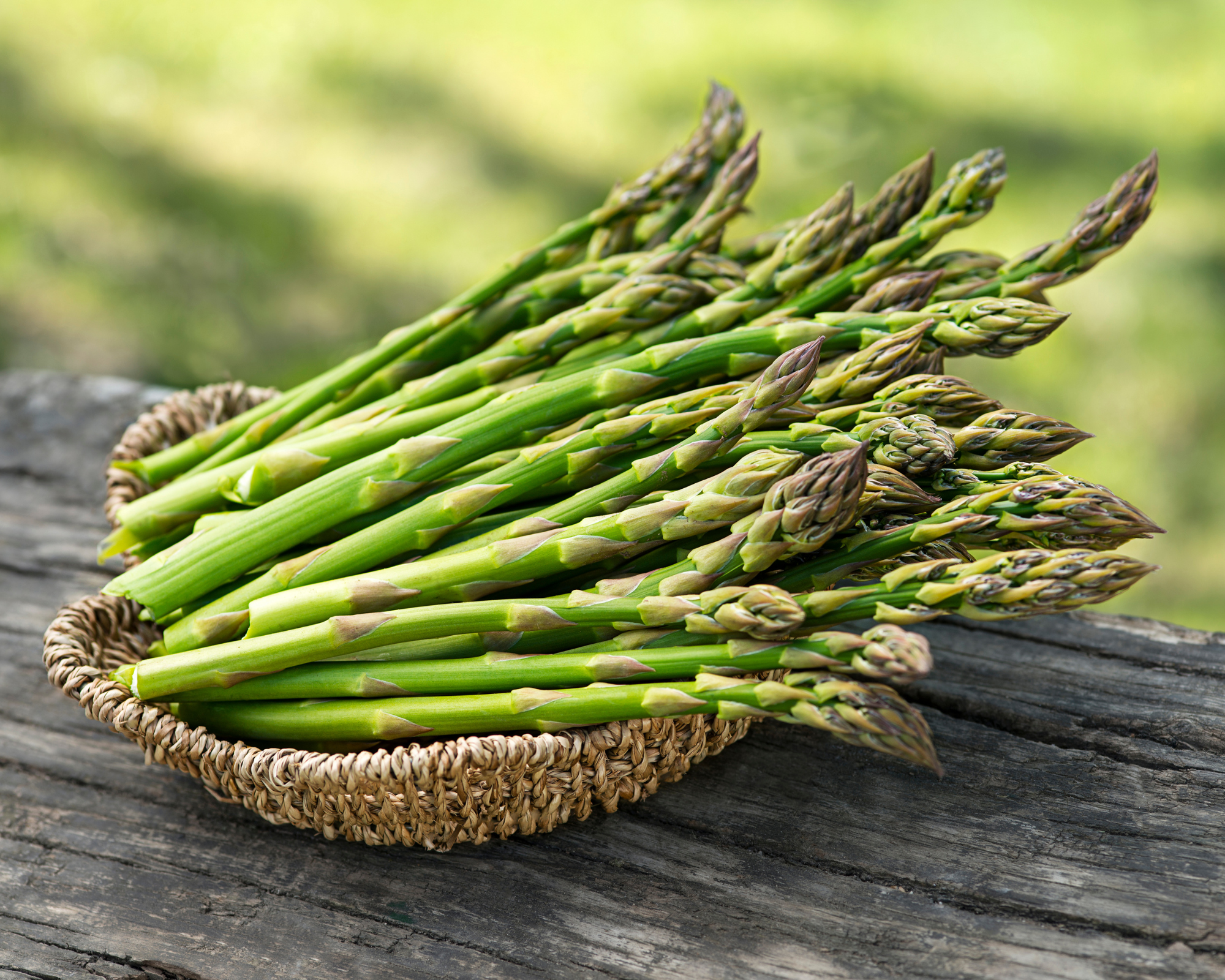 Semi di Asparago - Franchi sementi - immagine 3