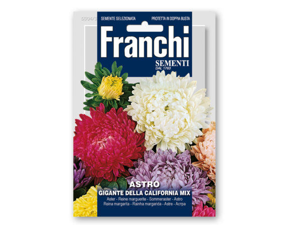 Mix Semi di Astro Gigante della California – Franchi sementi
