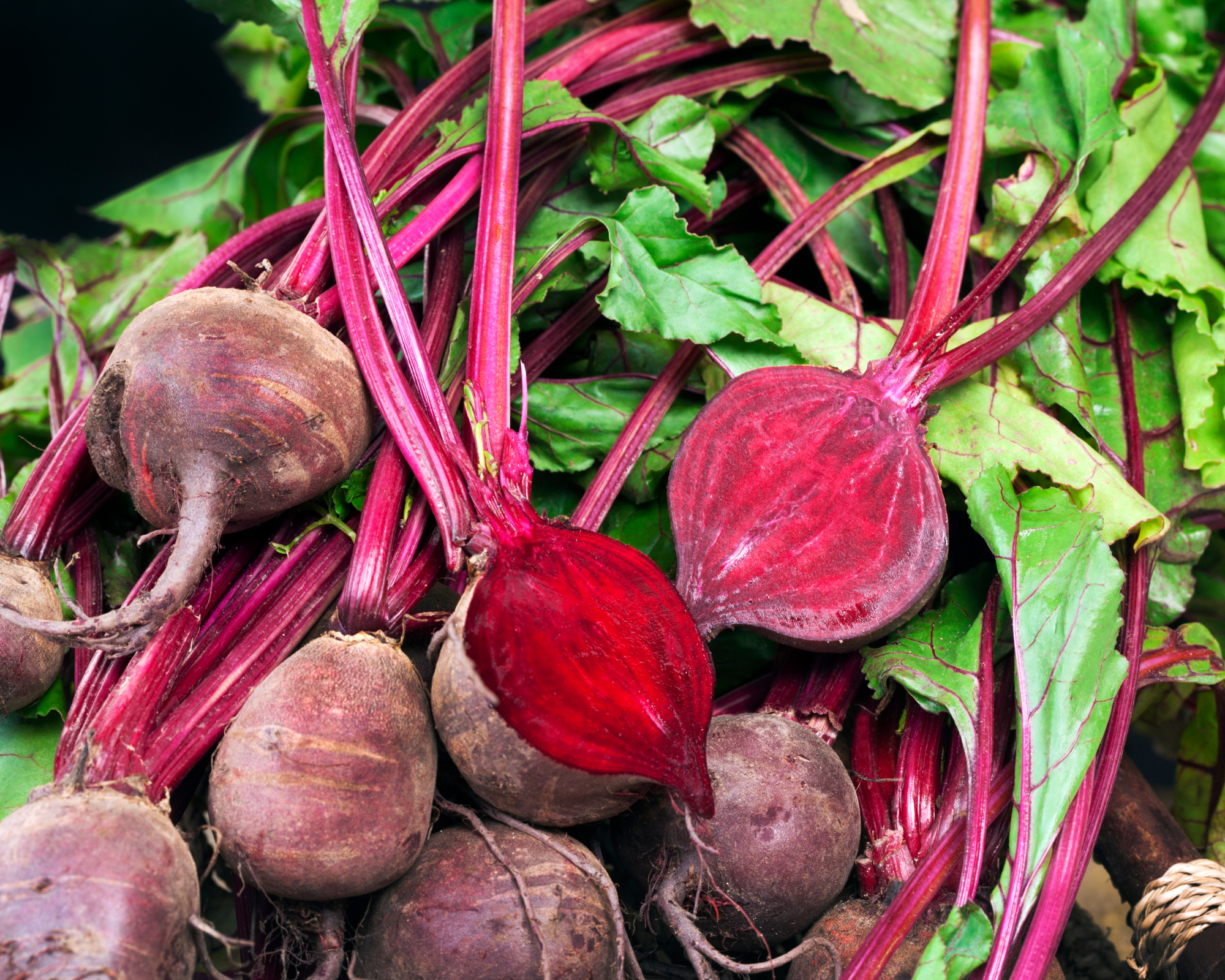 Semi di Bietola da orto Tonda da Chioggia - Franchi sementi - immagine 3