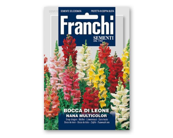 Semi Di Bocca Di Leone Nana Multicolor – Franchi Sementi