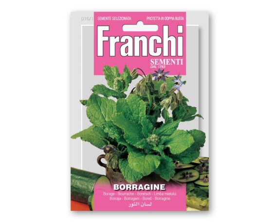 Semi di Borragine – Franchi sementi