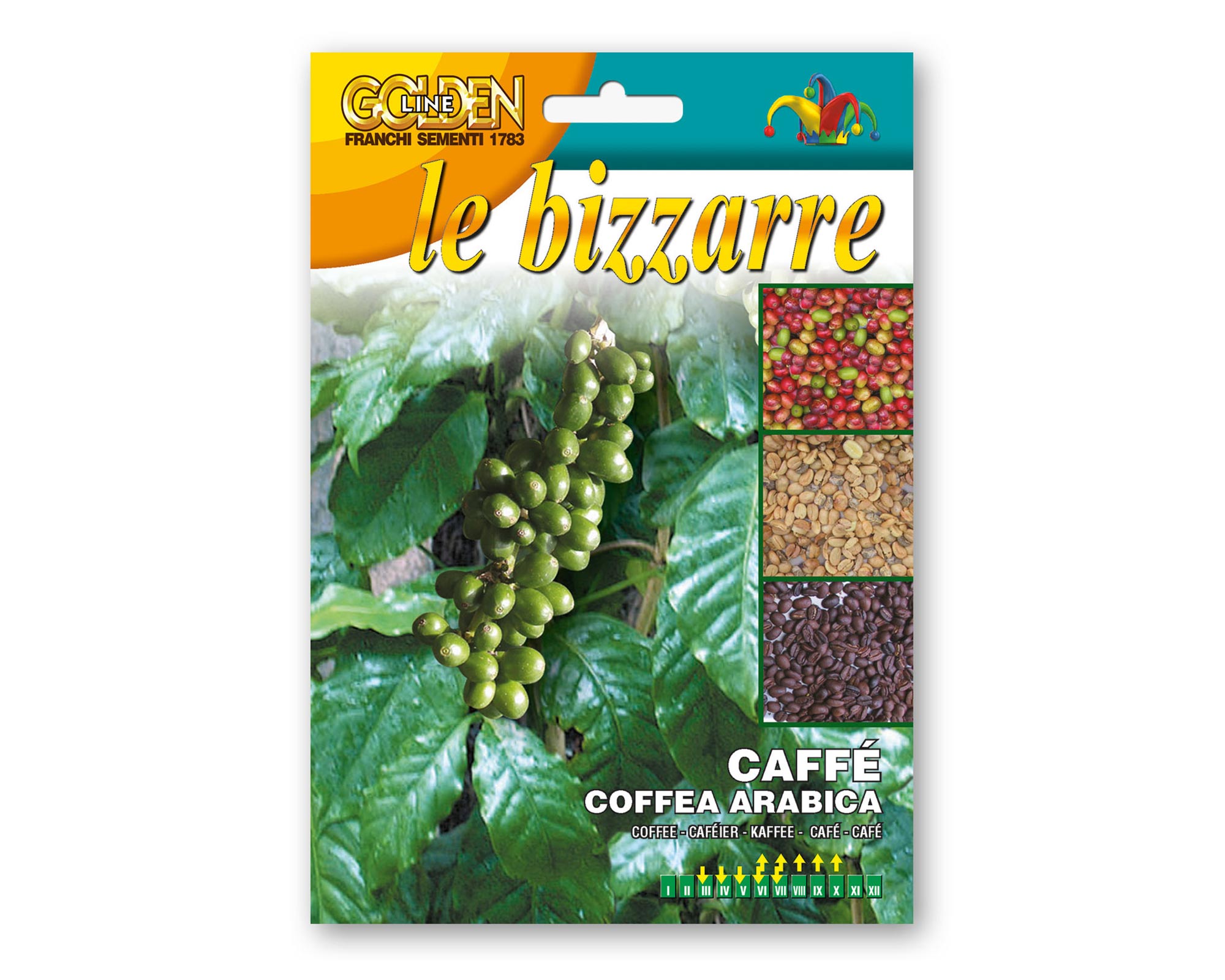 Semi di Caffé Arabico - Franchi sementi
