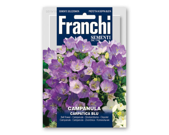 Semi di Campanula Carpatica Blu – Franchi sementi