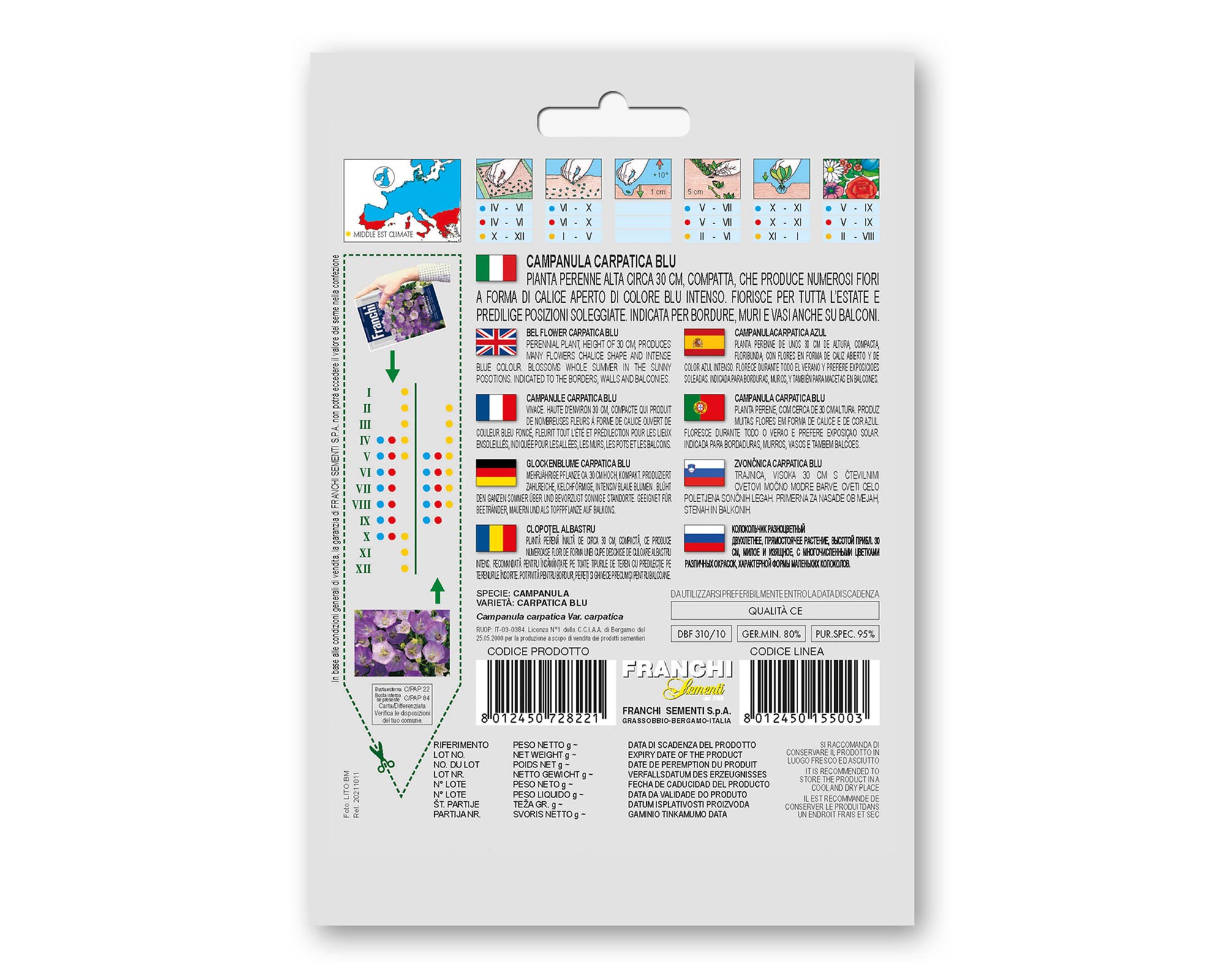 Semi di Campanula Carpatica Blu - Franchi sementi - immagine 2