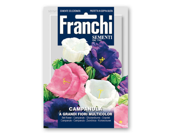 Semi di Campanula a Grandi Fiori Multicolor – Franchi sementi