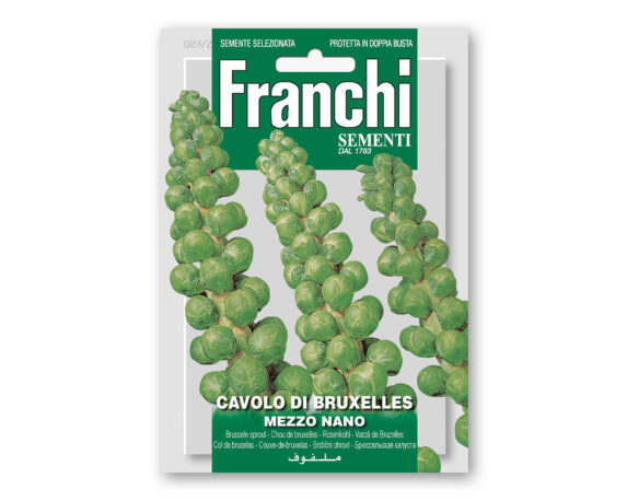 Semi di Cavolo di Bruxelles Mezzo Nano – Franchi sementi
