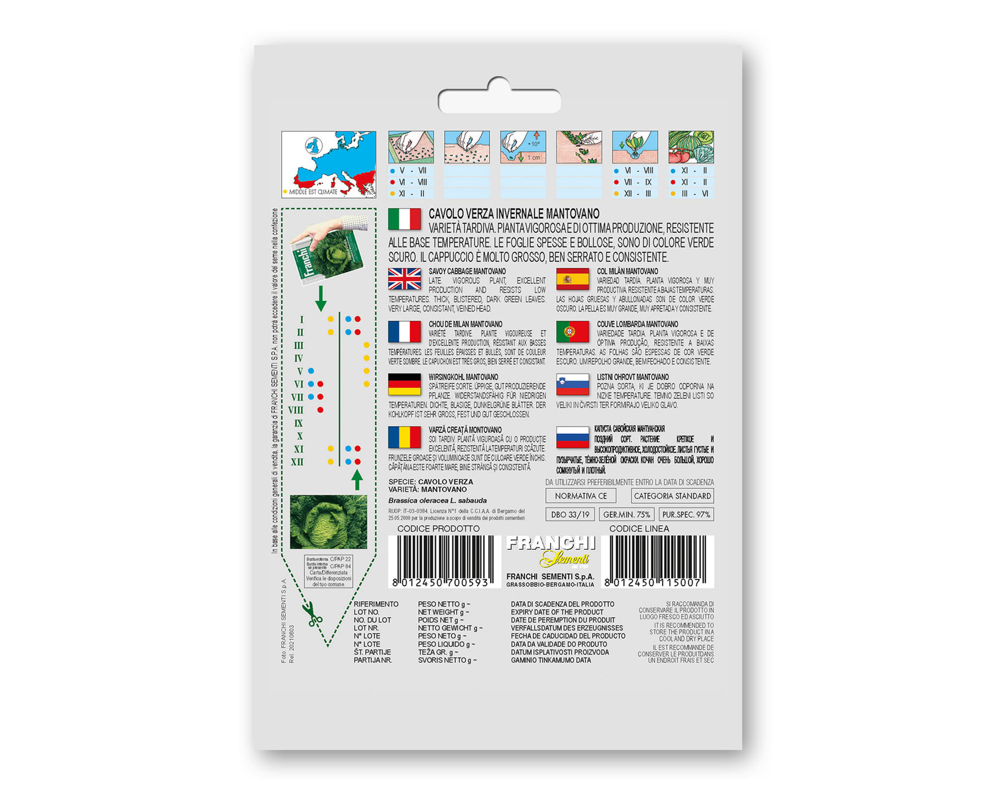 Semi di Cavolo Verza Invernale Mantovano - Franchi sementi - immagine 2