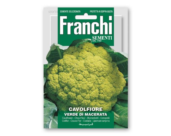 Semi di Cavolfiore Verde di Macerata – Franchi sementi