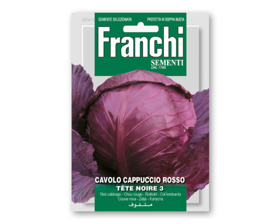 Semi di Cavolo Cappuccio Tete Noire – Franchi sementi