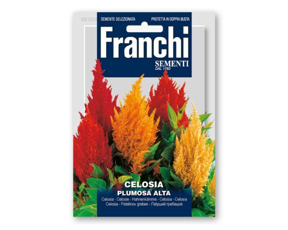 Semi di Celosia Plumosa Alta – Franchi sementi