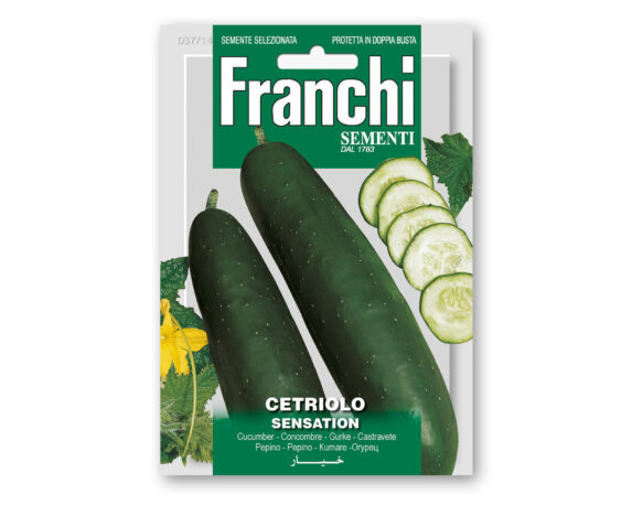 Semi di Cetriolo Sensation – Franchi sementi