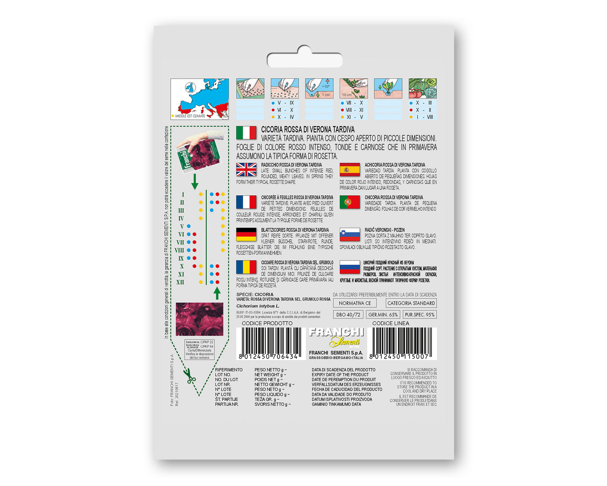 Semi di Cicoria Grumulo Rossa - Franchi sementi - immagine 2