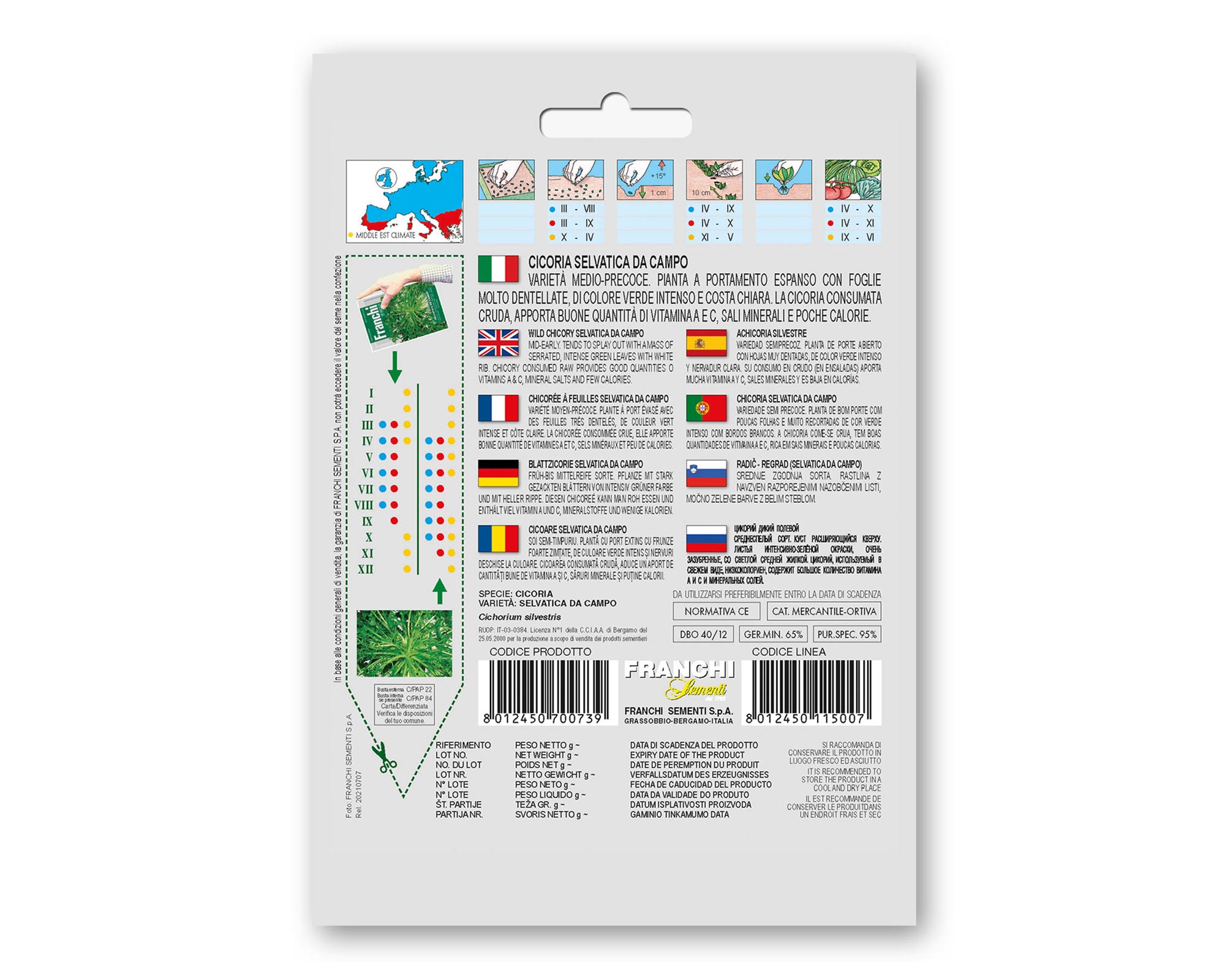 Semi di Cicoria Selvatica da campo - Franchi sementi - immagine 2
