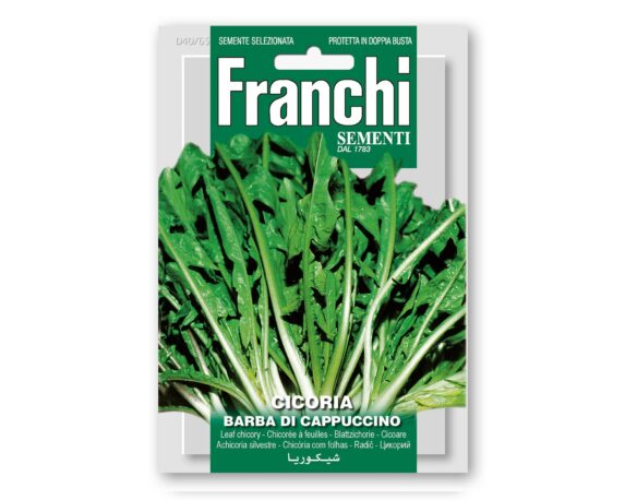 Semi di Cicoria Barbara di Cappuccino – Franchi sementi