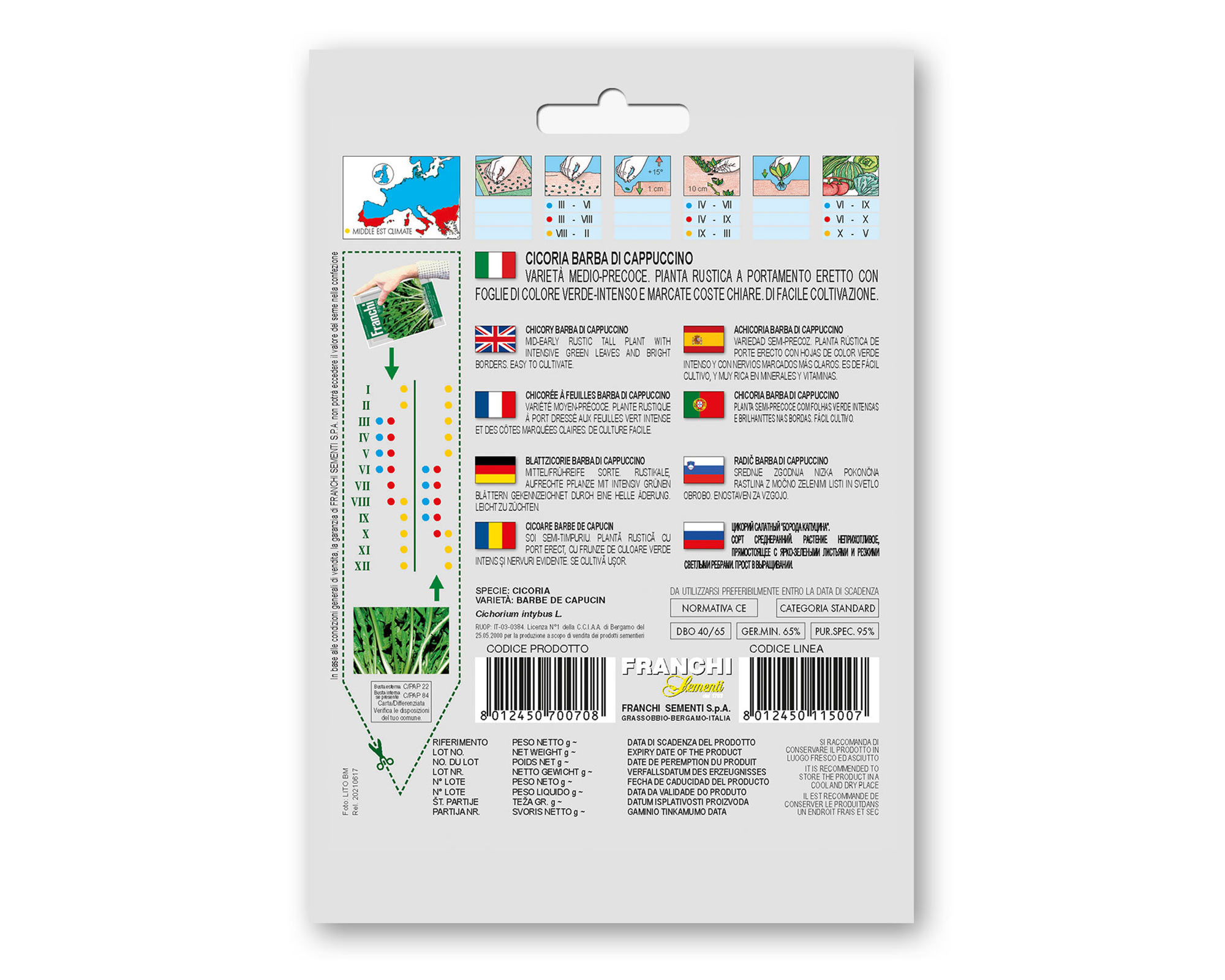 Semi di Cicoria Barbara di Cappuccino - Franchi sementi - immagine 2