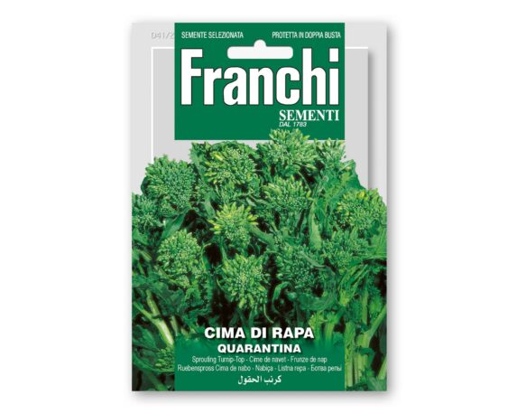 Semi di Cima di Rapa Quarantina – Franchi sementi