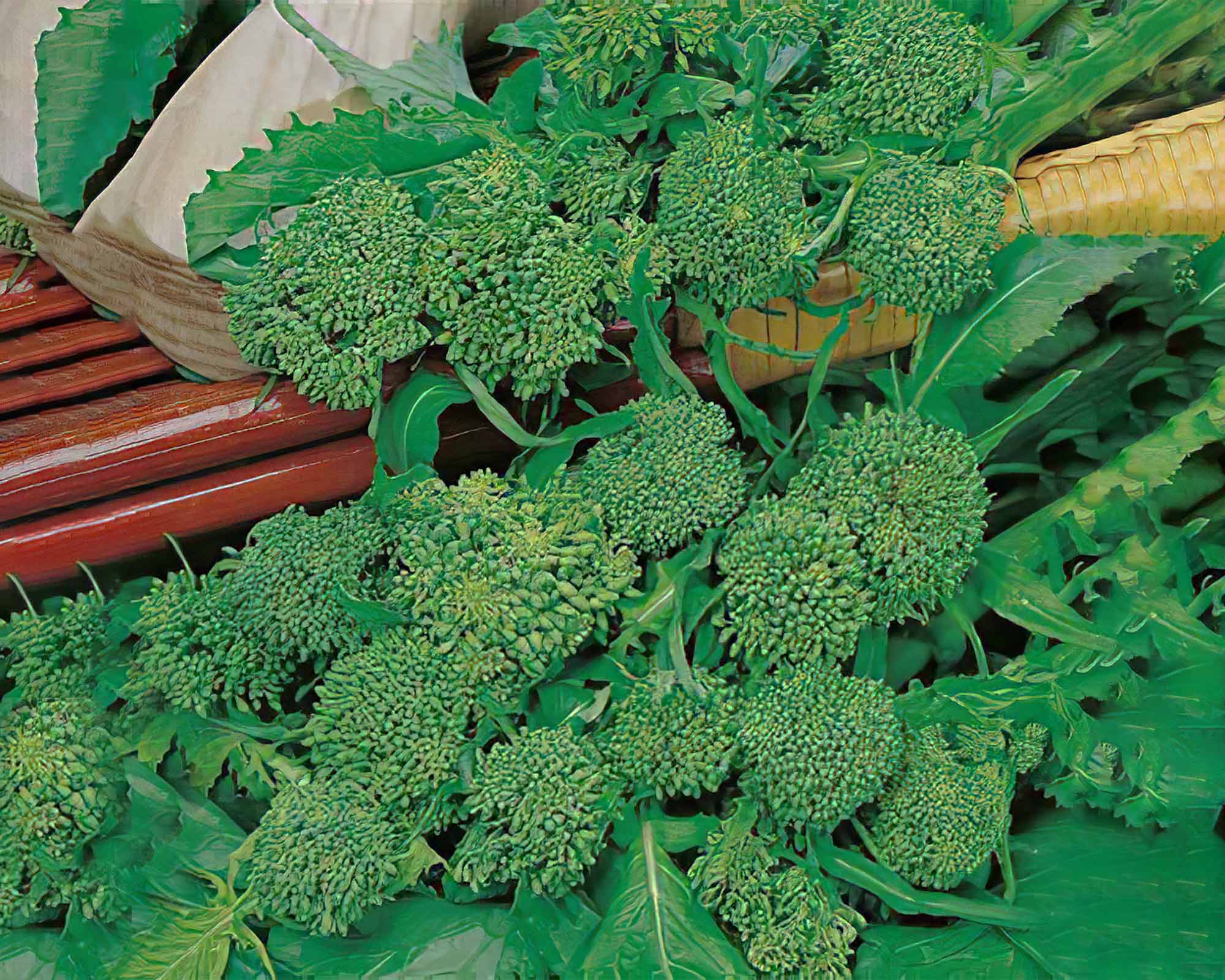 Semi di Cima di Rapa Quarantina - Franchi sementi - immagine 3