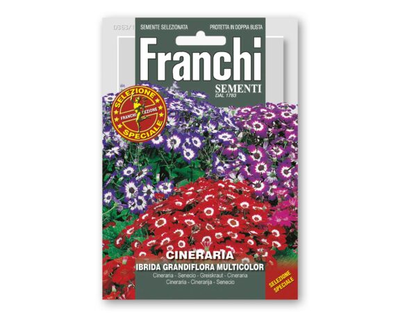 Semi di Cineraria Multicolor – Franchi sementi