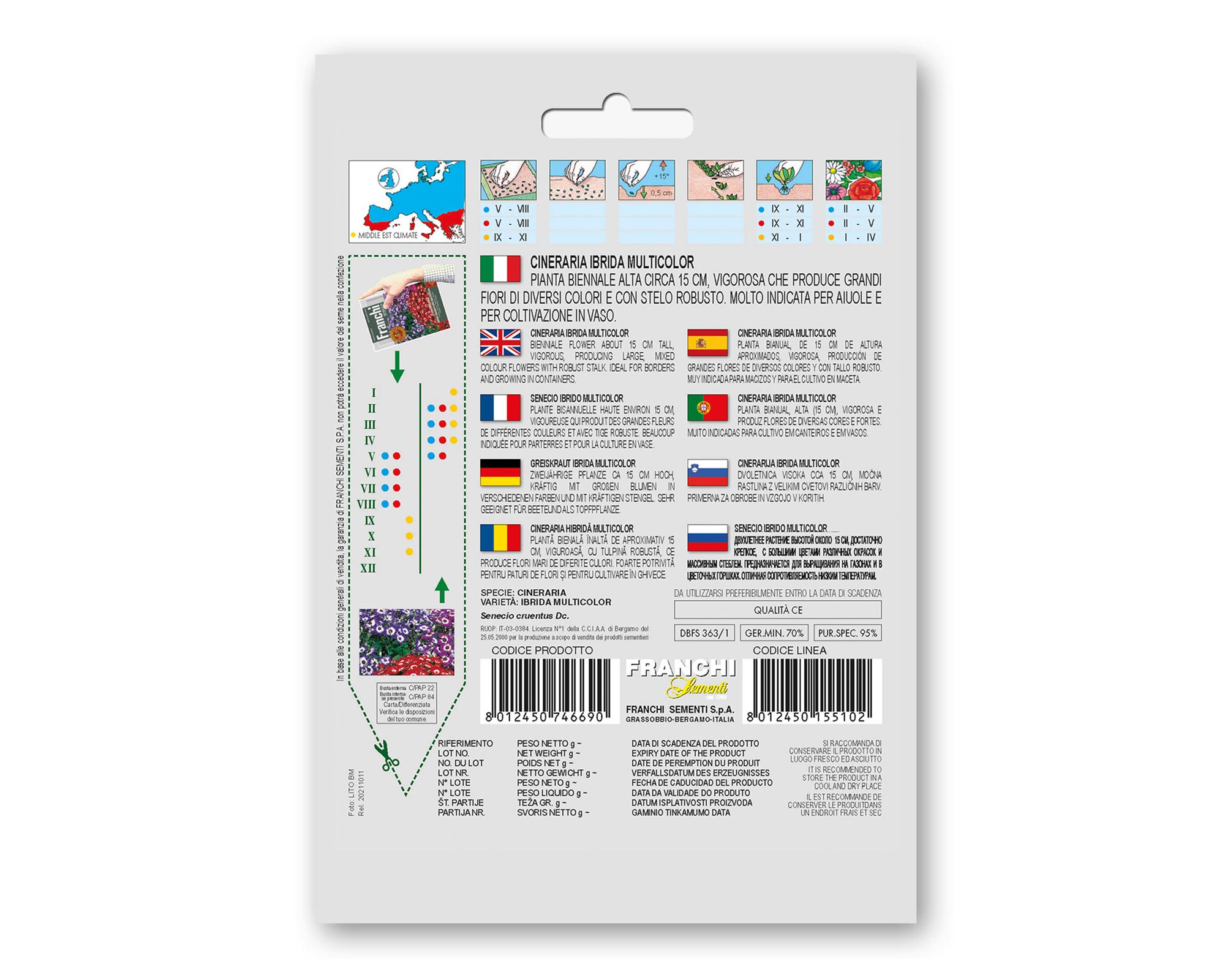Semi di Cineraria Multicolor - Franchi sementi - immagine 2