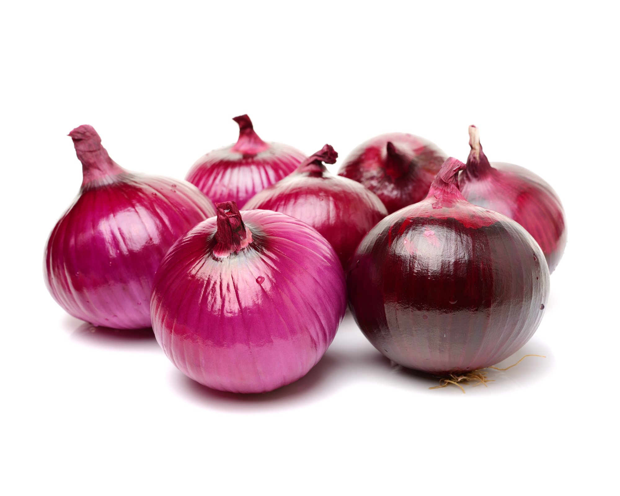 Semi di Cipolla di Genova - Franchi sementi - immagine 3