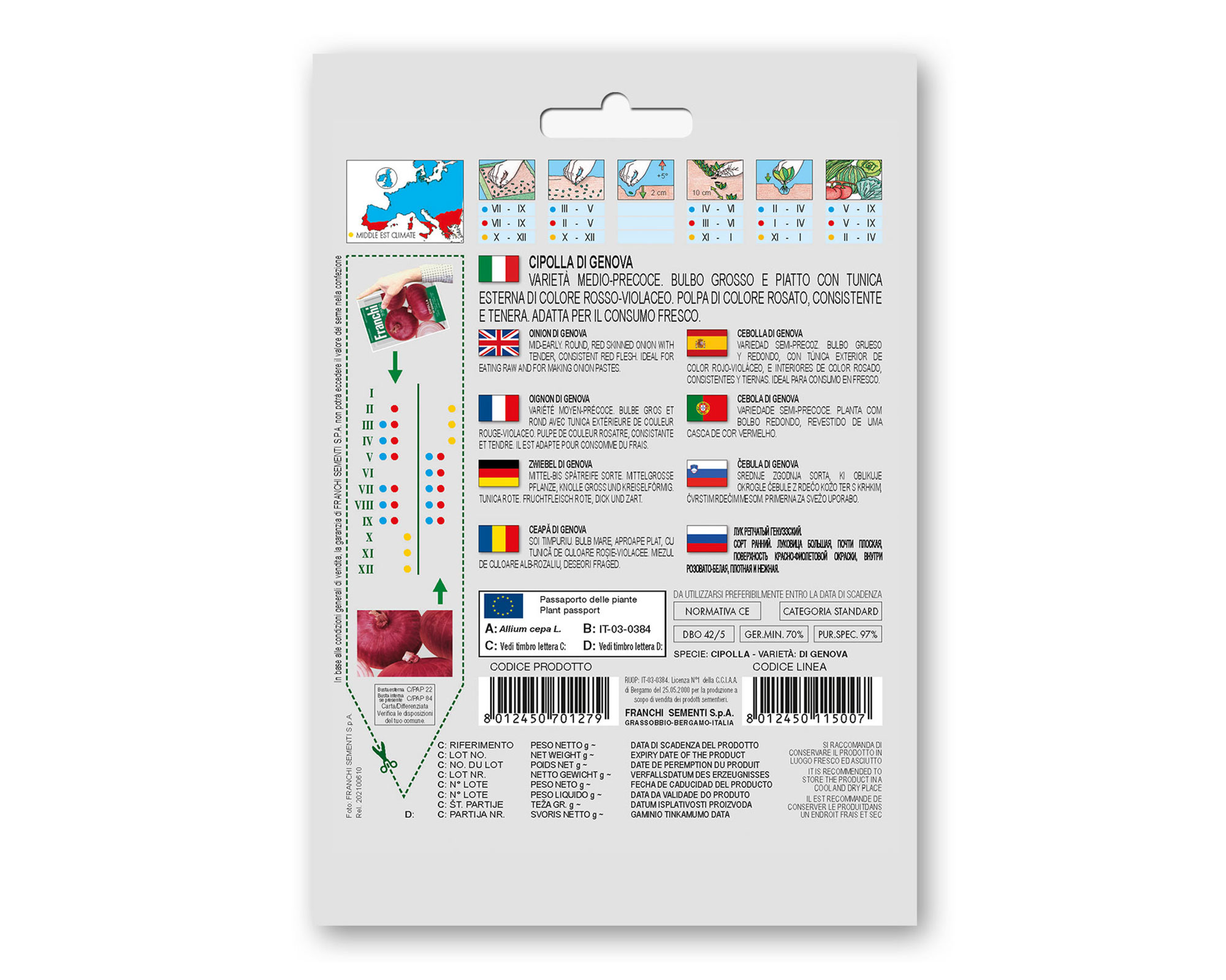 Semi di Cipolla di Genova - Franchi sementi - immagine 2