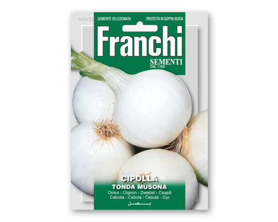Semi di Cipolla Tonda Musona – Franchi sementi