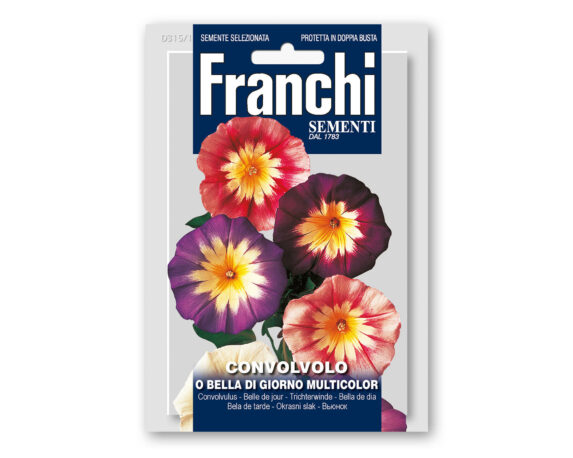 Semi di Convolvolo o Bella di Giorno Multicolor – Franchi sementi