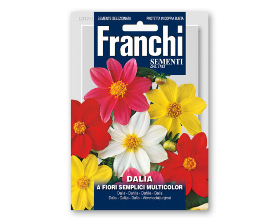 Semi di Dalia a Fiori Semplici Multicolor – Franchi sementi