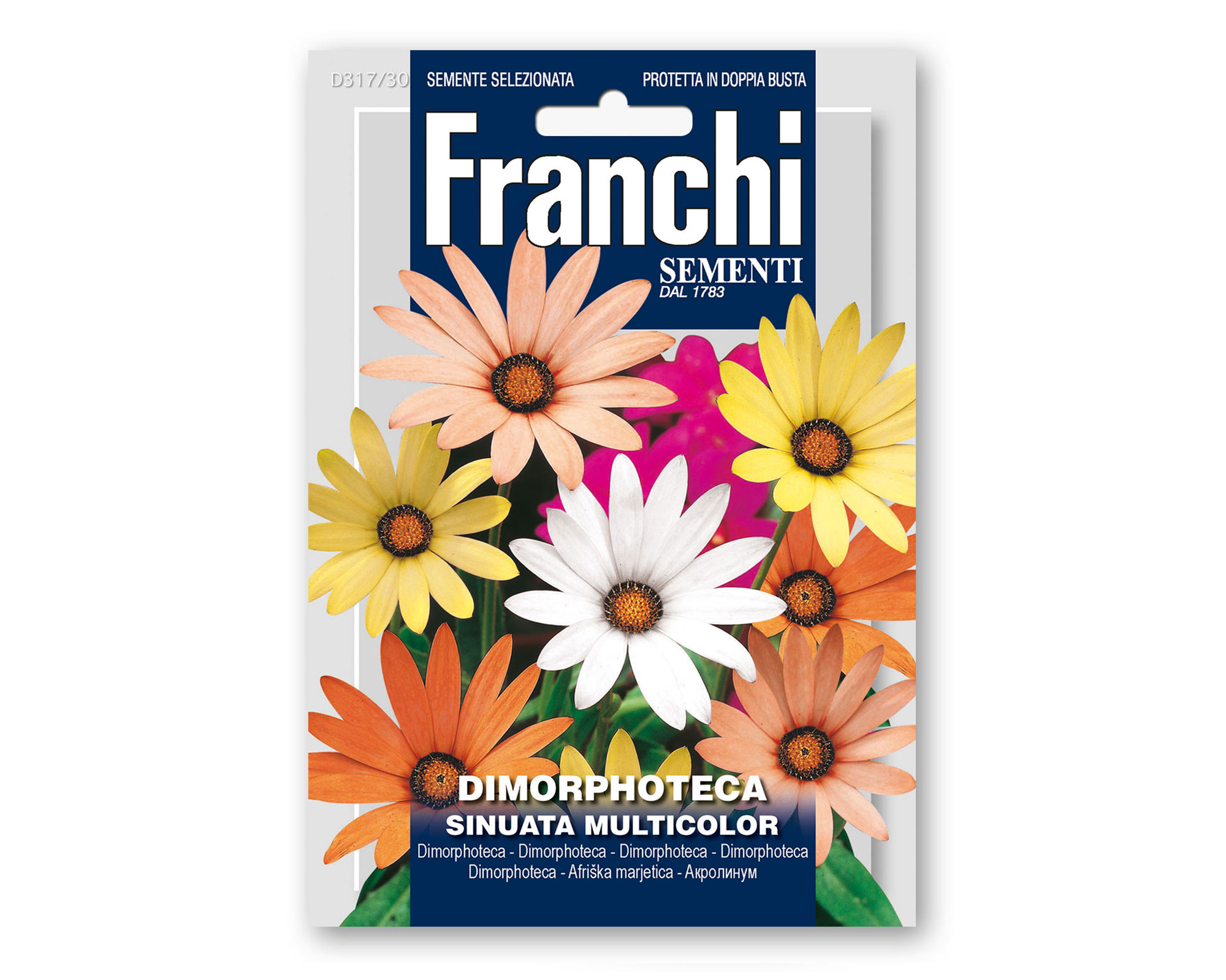 Semi di Dimorphoteca Sinuata - Franchi sementi