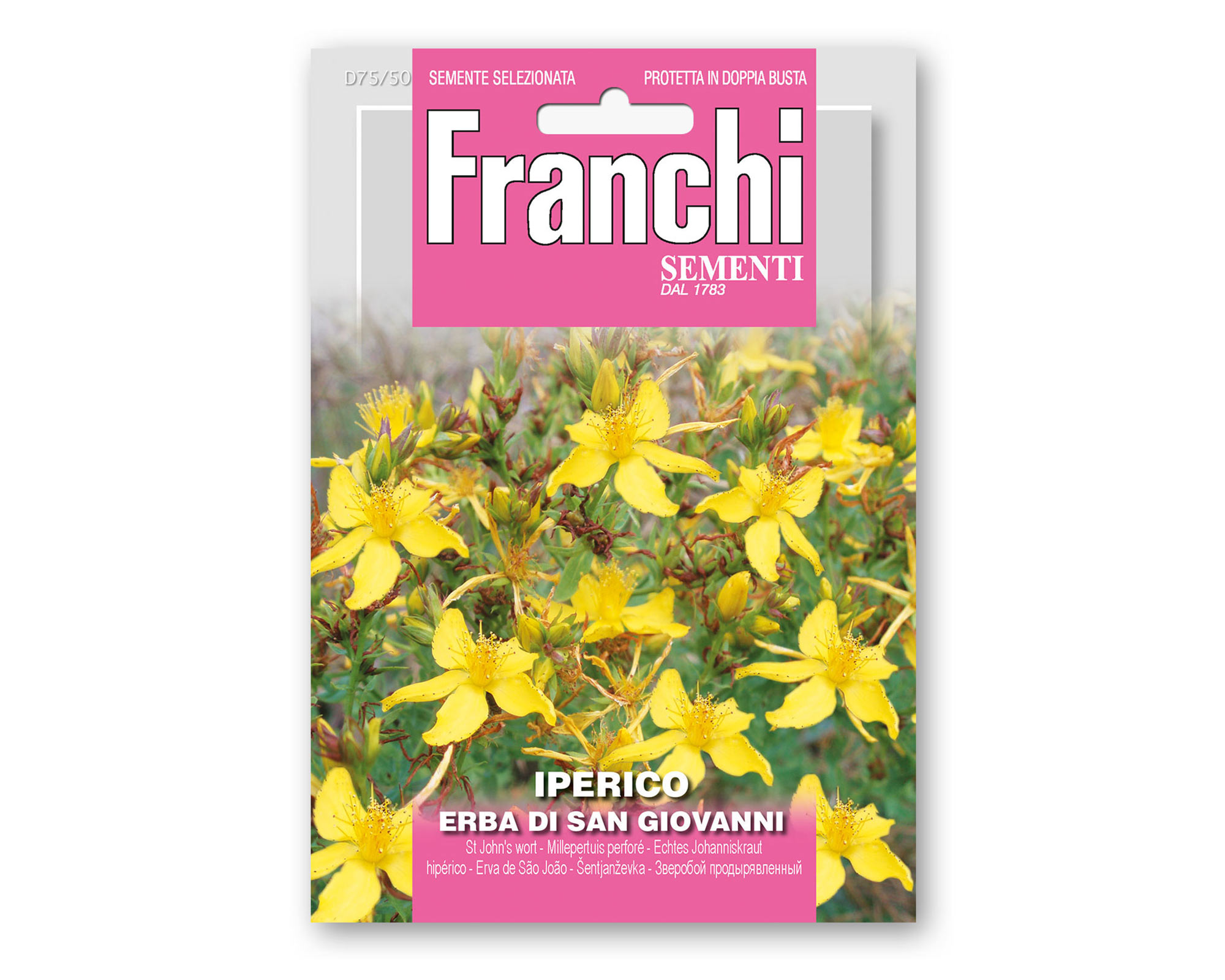 Semi di Iperico detto anche Erba di S. Giovanni - Franchi sementi