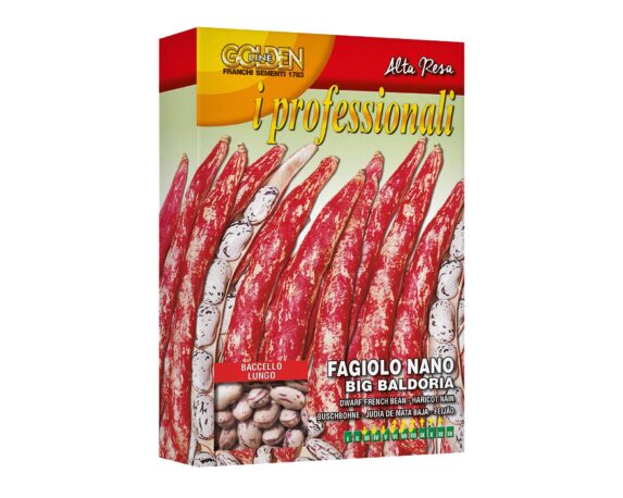 Semi di Fagiolo Nano Big Baldoria – Franchi sementi