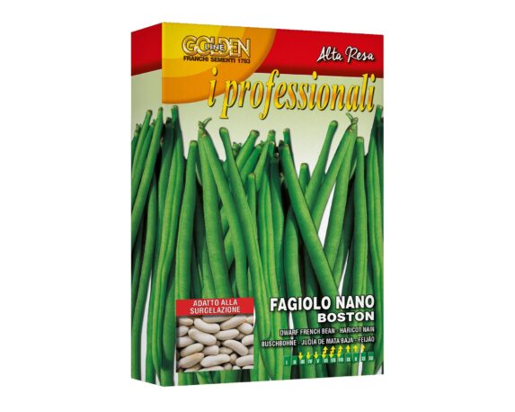 Semi di Fagiolo Nano Boston – Franchi sementi