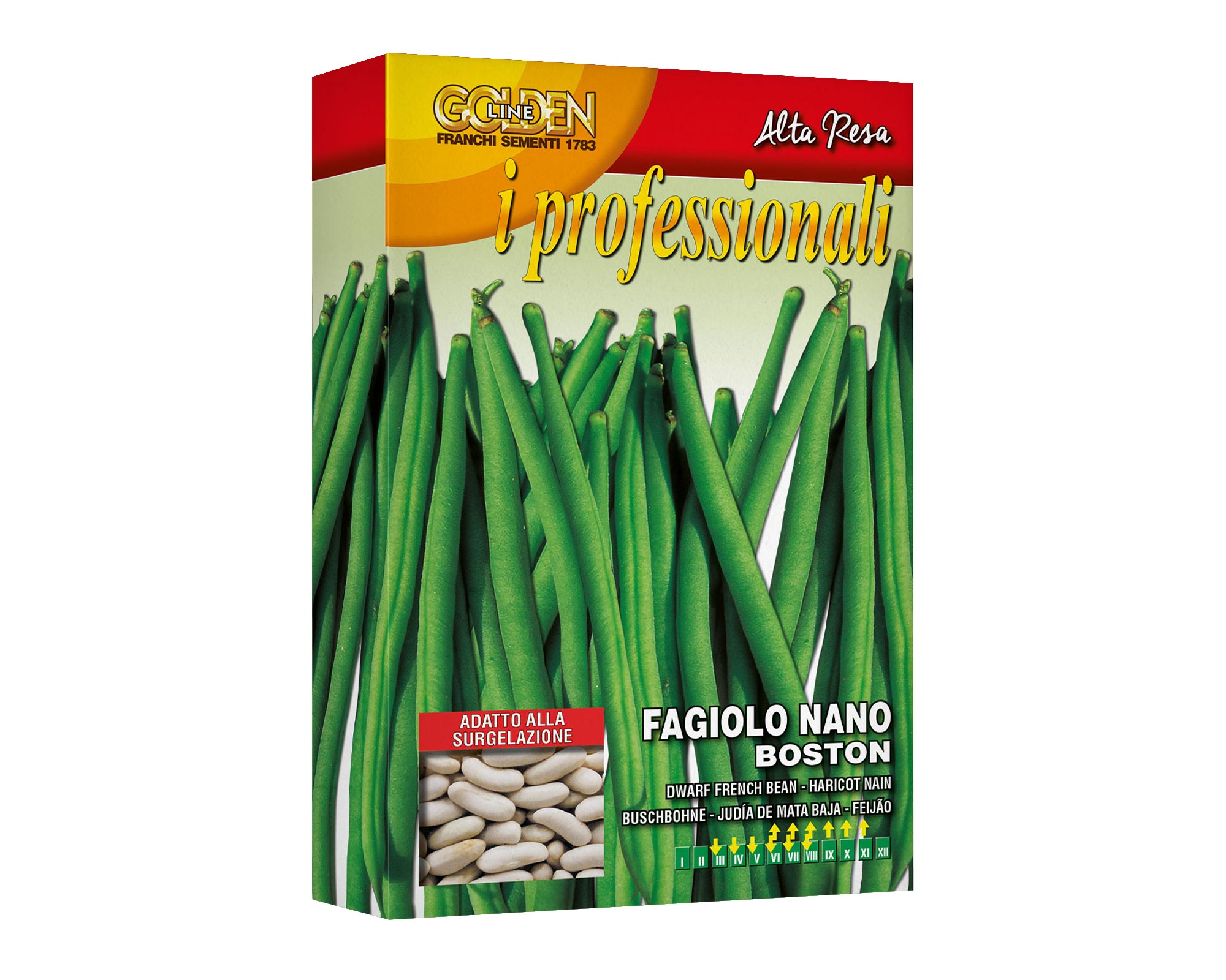 Semi di Fagiolo Nano Boston - Franchi sementi