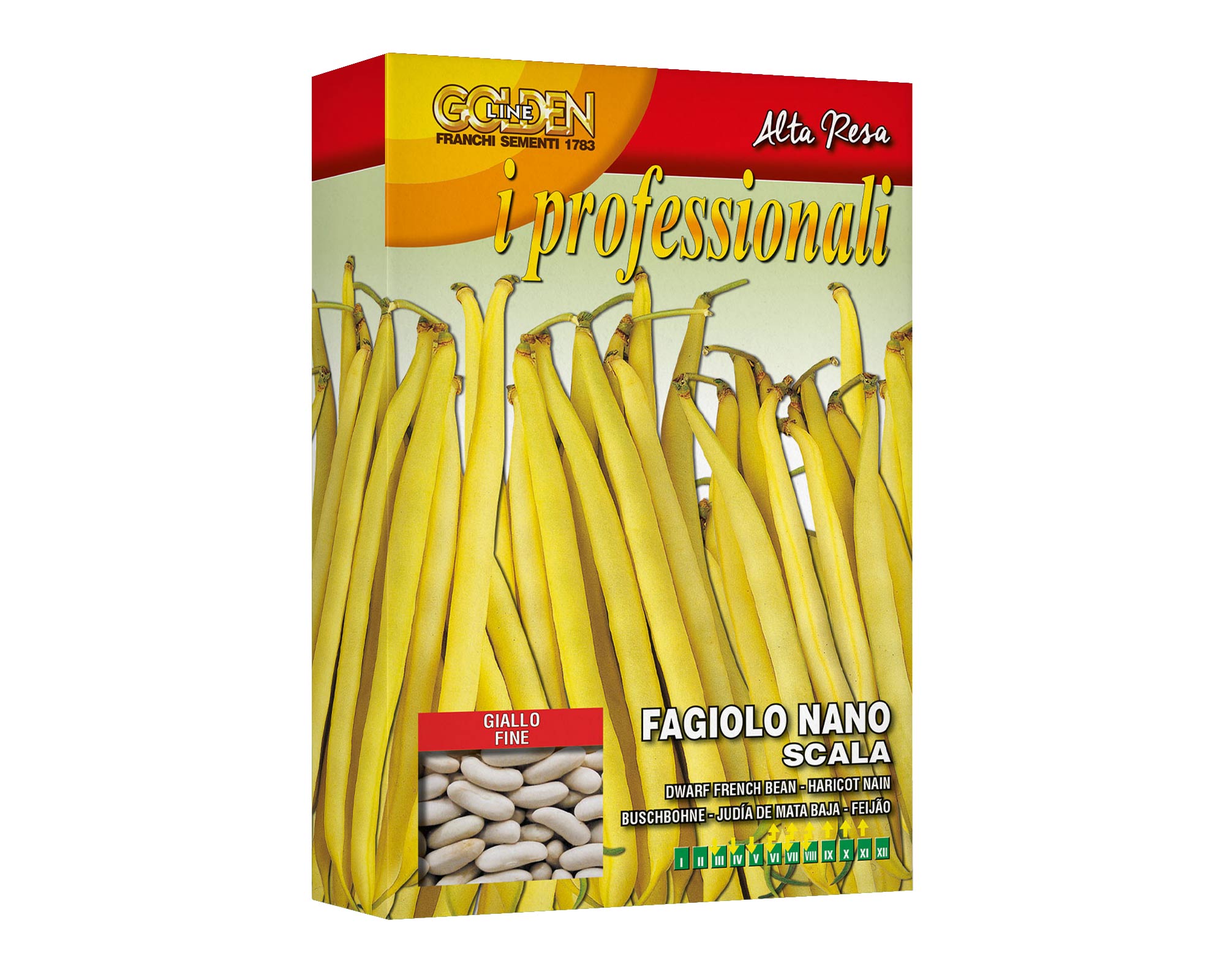 Semi di Fagiolo Nano Scala - Franchi sementi