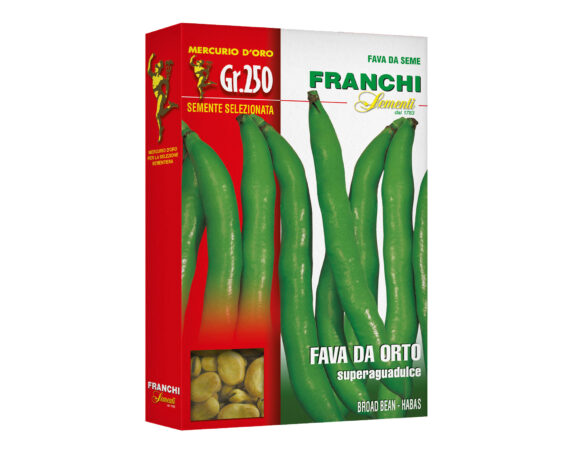 Semi di Fava da orto Supersimonia Mercurio – Franchi sementi
