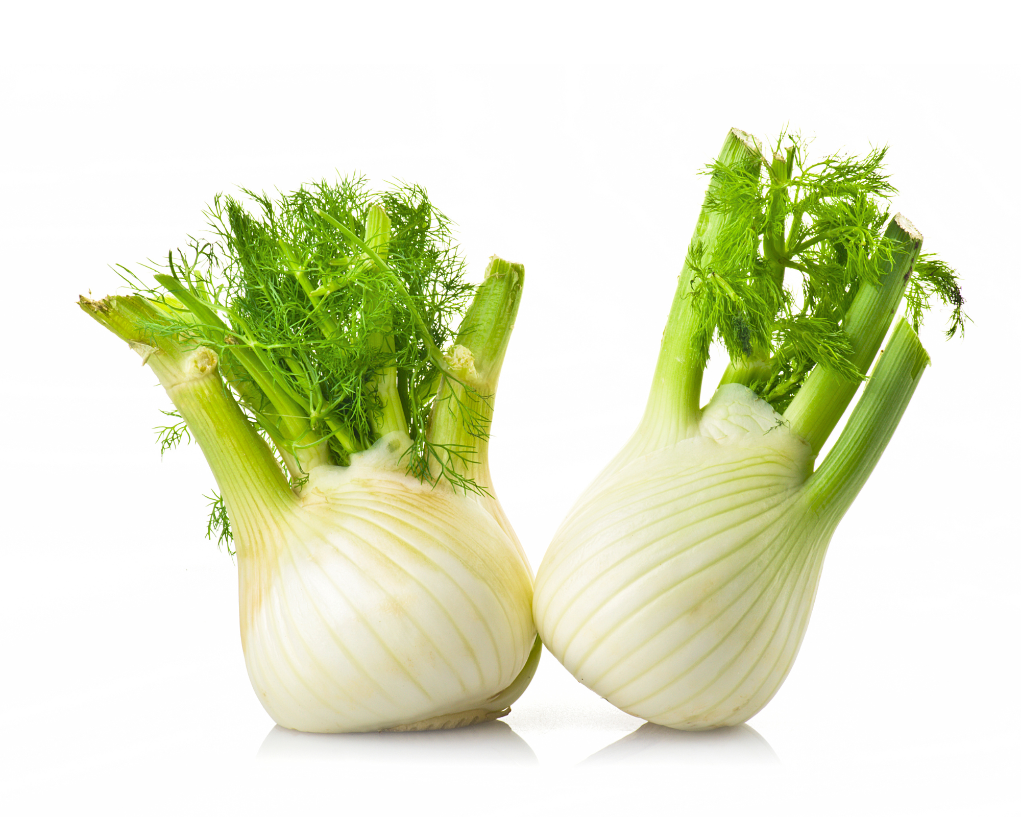 Semi di Finocchio Mantovano - Franchi sementi - immagine 3