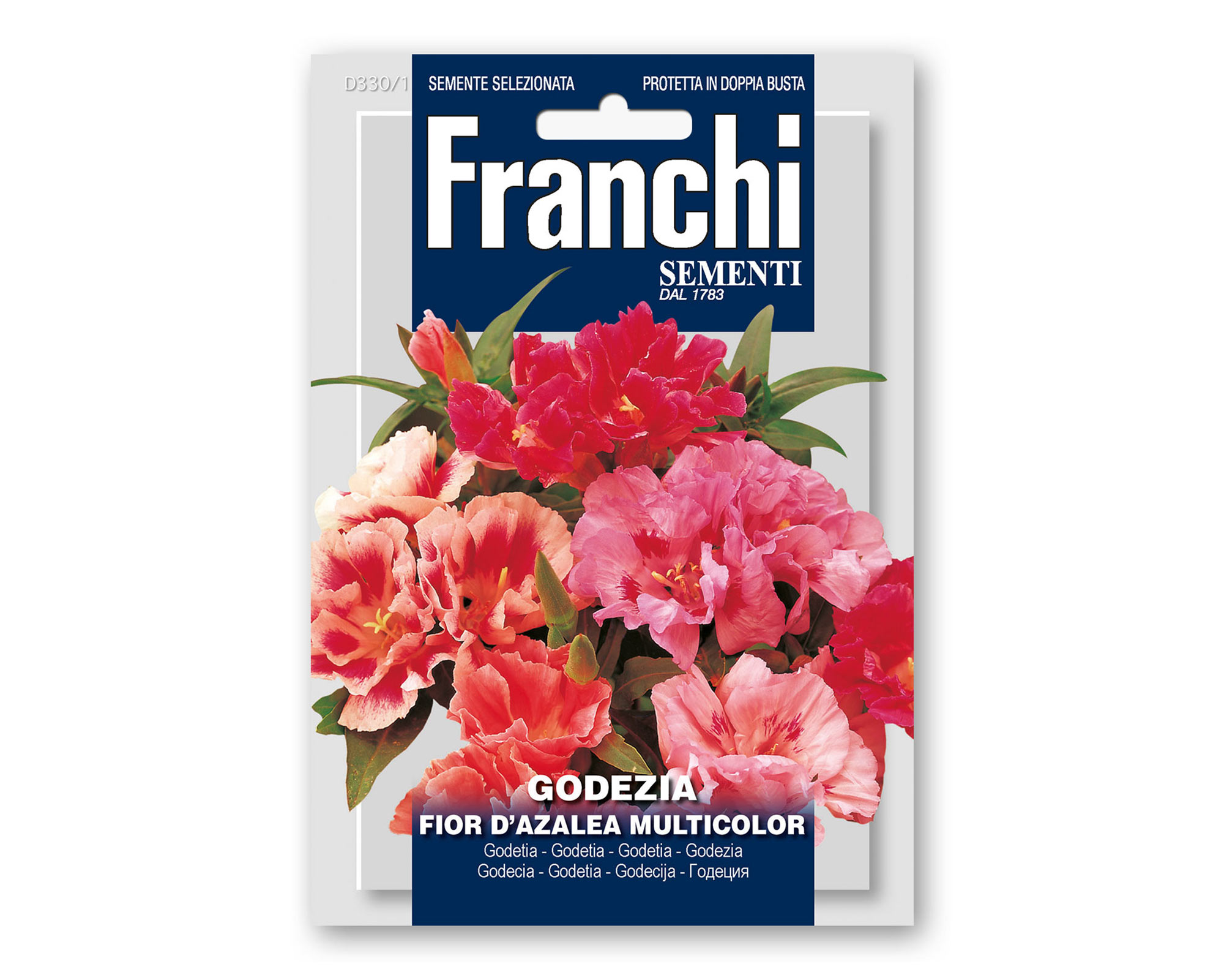 Semi di Godezia Fior D'Azalea - Franchi sementi