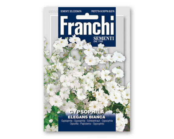 Semi di Gypsophila bianca – Franchi sementi