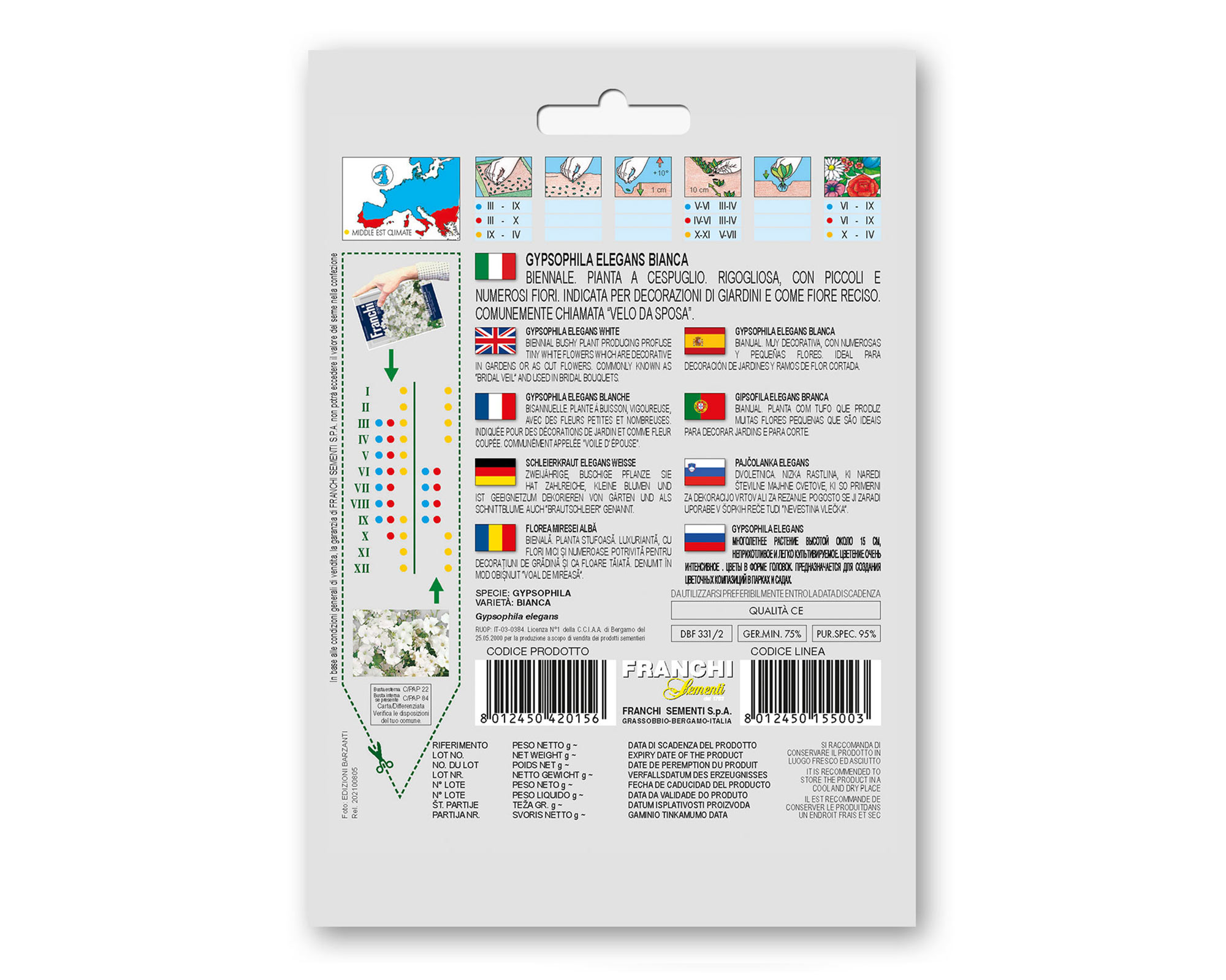 Semi di Gypsophila bianca - Franchi sementi - immagine 2