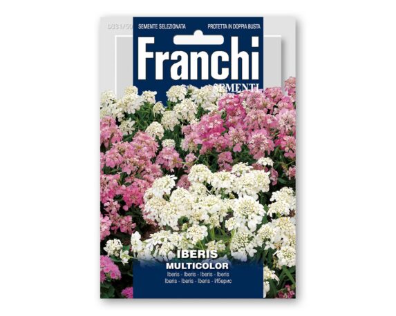 Semi di Iberis Multicolor – Franchi sementi