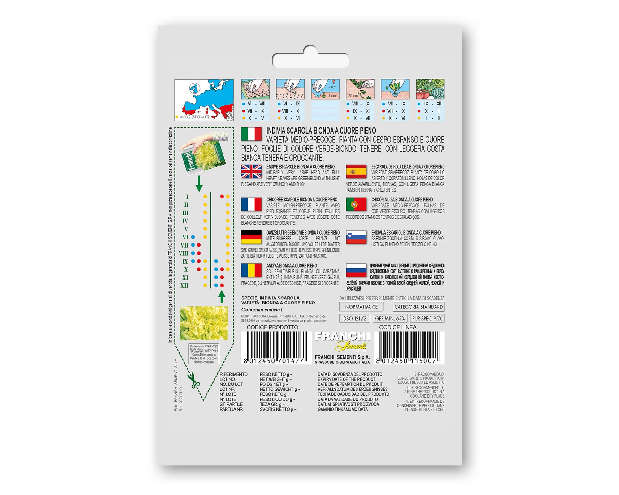 Semi di Indivia Scarola Bionda a Cuore Pieno - Franchi sementi - immagine 2